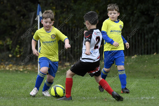Penwortham St Teresa's FC Black vs Cadley FC Orange, Under 7, Football, Penwortham, UK - 18 Oct 2025