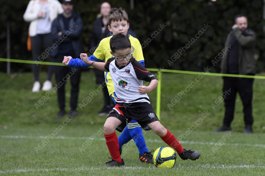 Penwortham St Teresa's FC Black vs Cadley FC Orange, Under 7, Football, Penwortham, UK - 18 Oct 2025