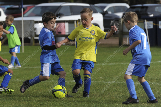 Penwortham St Teresa's FC Blue vs Bamber Bridge United Blue, Under 7, Football, Penwortham, UK - 13 Sep 2025