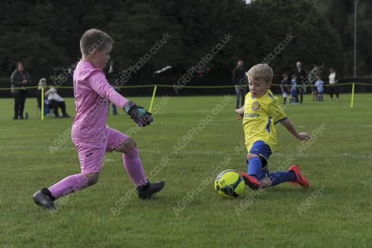 Penwortham St Teresa's FC Blue vs Bamber Bridge United Blue, Under 7, Football, Penwortham, UK - 13 Sep 2025