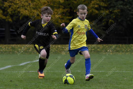 Penwortham St Teresa's FC Red vs Springfields Black, Under 8, Football, Penwortham, UK - 18 Oct 2025