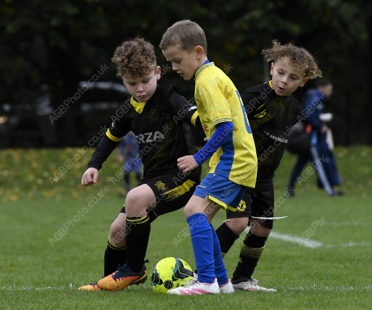 Penwortham St Teresa's FC Red vs Springfields Black, Under 8, Football, Penwortham, UK - 18 Oct 2025