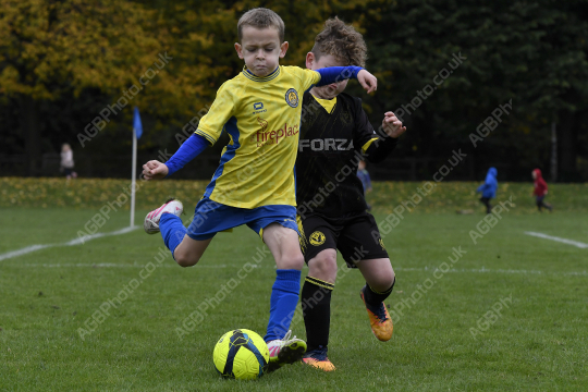 Penwortham St Teresa's FC Red vs Springfields Black, Under 8, Football, Penwortham, UK - 18 Oct 2025