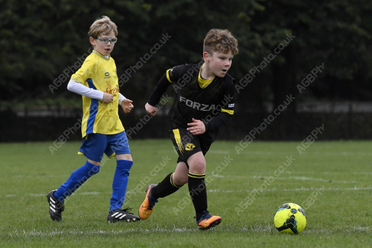 Penwortham St Teresa's FC Red vs Springfields Black, Under 8, Football, Penwortham, UK - 18 Oct 2025