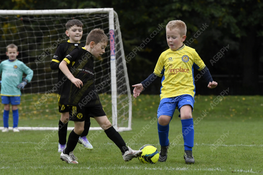 Penwortham St Teresa's FC Red vs Springfields Black, Under 8, Football, Penwortham, UK - 18 Oct 2025