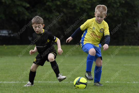 Penwortham St Teresa's FC Red vs Springfields Black, Under 8, Football, Penwortham, UK - 18 Oct 2025