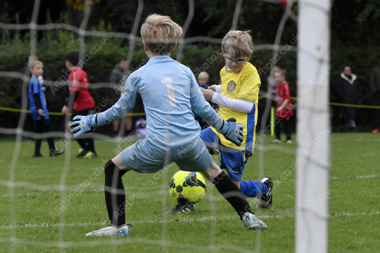 Penwortham St Teresa's FC Red vs Springfields Black, Under 8, Football, Penwortham, UK - 18 Oct 2025