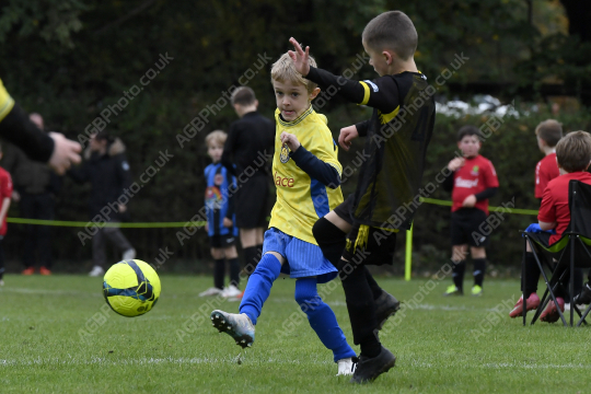 Penwortham St Teresa's FC Red vs Springfields Black, Under 8, Football, Penwortham, UK - 18 Oct 2025