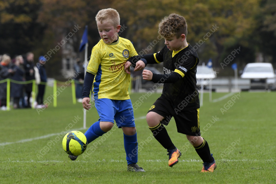 Penwortham St Teresa's FC Red vs Springfields Black, Under 8, Football, Penwortham, UK - 18 Oct 2025