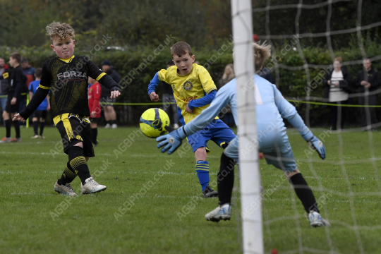 Penwortham St Teresa's FC Red vs Springfields Black, Under 8, Football, Penwortham, UK - 18 Oct 2025