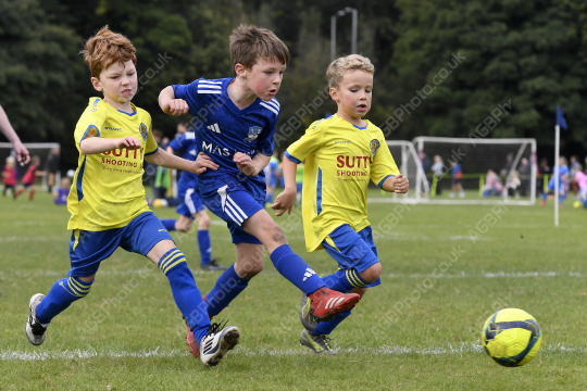 Penwortham St Teresa's FC White vs Astley & Buckshaw Juniors Blue, Under 7, Football, Penwortham, UK - 27 Sep 2025